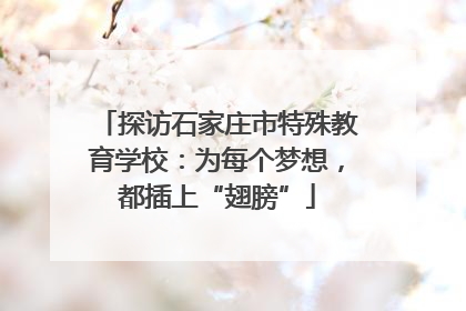 探访石家庄市特殊教育学校：为每个梦想，都插上“翅膀”