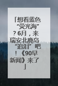 想看蓝色“荧光海”？6月，来瑞安北麂岛“追泪”吧！《90早新闻》来了