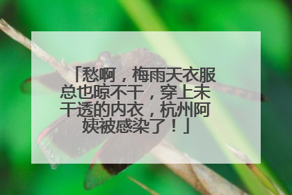 愁啊，梅雨天衣服总也晾不干，穿上未干透的内衣，杭州阿姨被感染了！