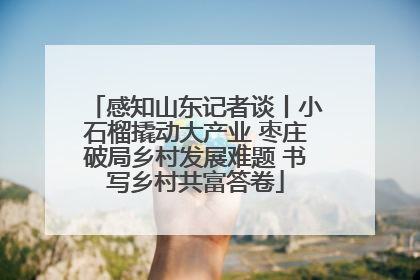 感知山东记者谈丨小石榴撬动大产业 枣庄破局乡村发展难题 书写乡村共富答卷