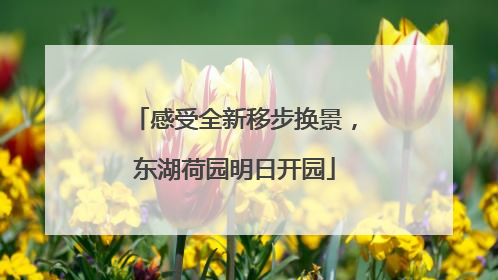 感受全新移步换景，东湖荷园明日开园