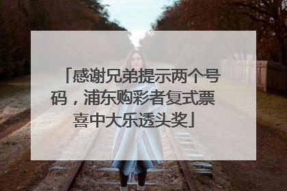 感谢兄弟提示两个号码，浦东购彩者复式票喜中大乐透头奖