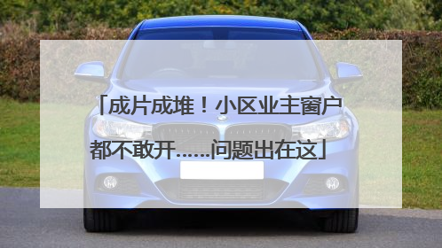 成片成堆！小区业主窗户都不敢开……问题出在这