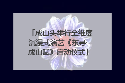 成山头举行全维度沉浸式演艺《东寻·成山赋》启动仪式