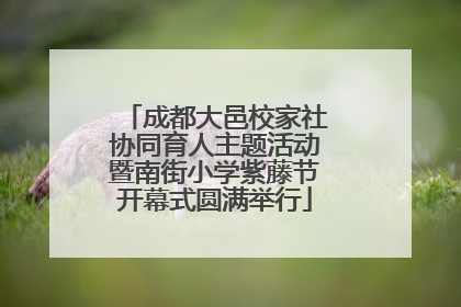 成都大邑校家社协同育人主题活动暨南街小学紫藤节开幕式圆满举行
