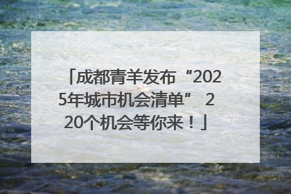 成都青羊发布“2025年城市机会清单” 220个机会等你来！