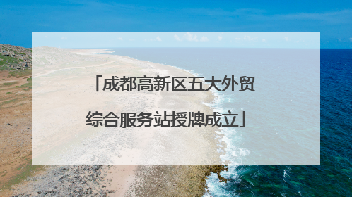 成都高新区五大外贸综合服务站授牌成立