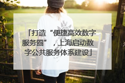 打造“便捷高效数字服务圈”，上海启动数字公共服务体系建设