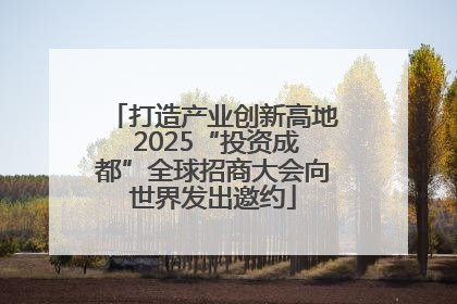 打造产业创新高地 2025“投资成都”全球招商大会向世界发出邀约