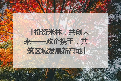 投资米林，共创未来——政企携手，共筑区域发展新高地