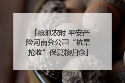 抢抓农时 平安产险河南分公司“抗旱抢收”保夏粮归仓