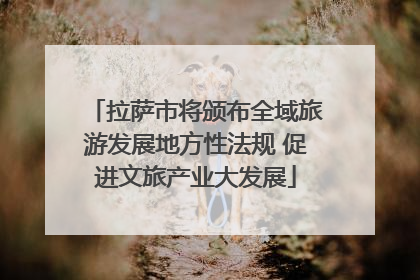 拉萨市将颁布全域旅游发展地方性法规 促进文旅产业大发展