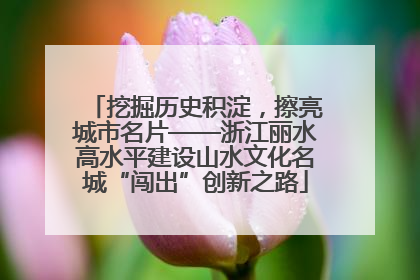挖掘历史积淀，擦亮城市名片——浙江丽水高水平建设山水文化名城“闯出”创新之路