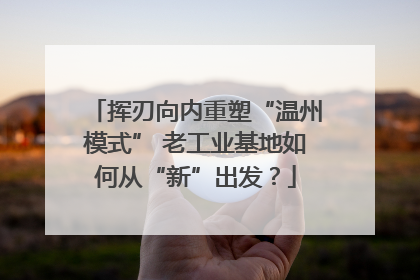 挥刃向内重塑“温州模式” 老工业基地如何从“新”出发？