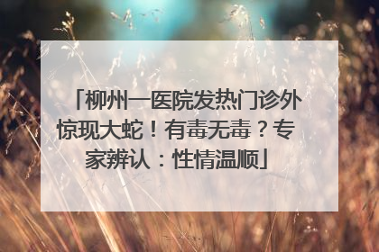 柳州一医院发热门诊外惊现大蛇！有毒无毒？专家辨认：性情温顺