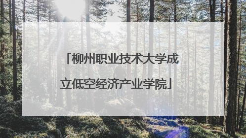 柳州职业技术大学成立低空经济产业学院