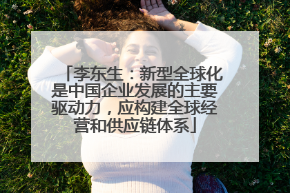 李东生：新型全球化是中国企业发展的主要驱动力，应构建全球经营和供应链体系