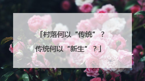 村落何以“传统”？传统何以“新生”？