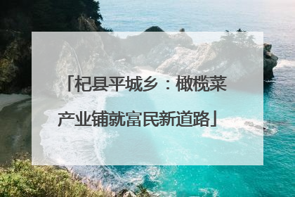 杞县平城乡：橄榄菜产业铺就富民新道路