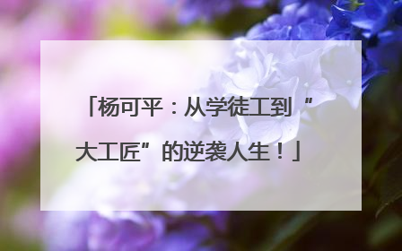 杨可平：从学徒工到“大工匠”的逆袭人生！