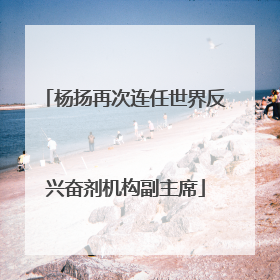 杨扬再次连任世界反兴奋剂机构副主席