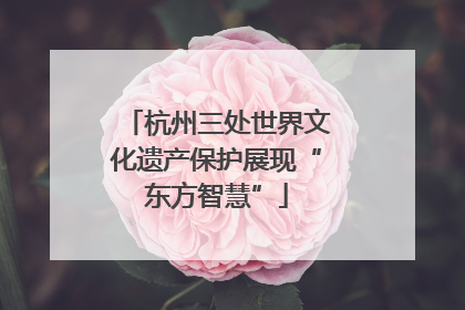 杭州三处世界文化遗产保护展现“东方智慧”