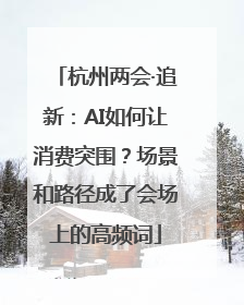 杭州两会·追新：AI如何让消费突围？场景和路径成了会场上的高频词