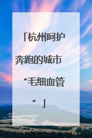 杭州呵护奔跑的城市“毛细血管”