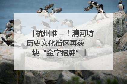 杭州唯一！清河坊历史文化街区再获一块“金字招牌”