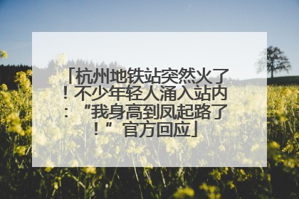 杭州地铁站突然火了！不少年轻人涌入站内：“我身高到凤起路了！”官方回应