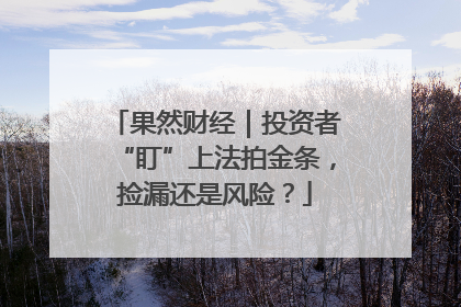 果然财经｜投资者“盯”上法拍金条，捡漏还是风险？