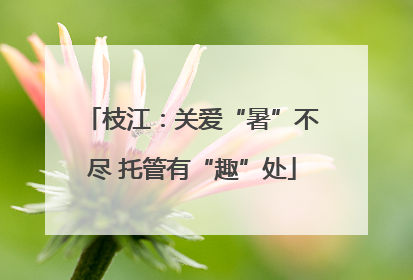 枝江：关爱“暑”不尽 托管有“趣”处