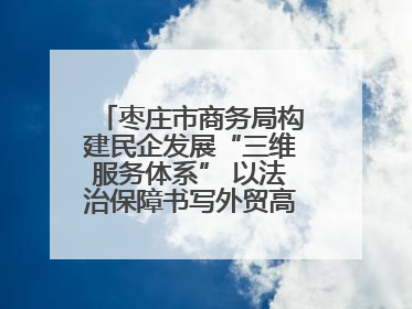 枣庄市商务局构建民企发展“三维服务体系” 以法治保障书写外贸高质量答卷
