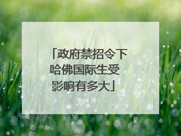 政府禁招令下 哈佛国际生受影响有多大
