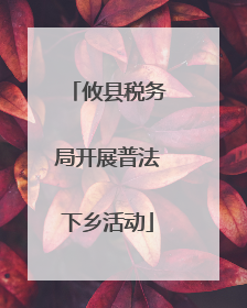 攸县税务局开展普法下乡活动