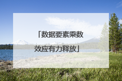 数据要素乘数效应有力释放