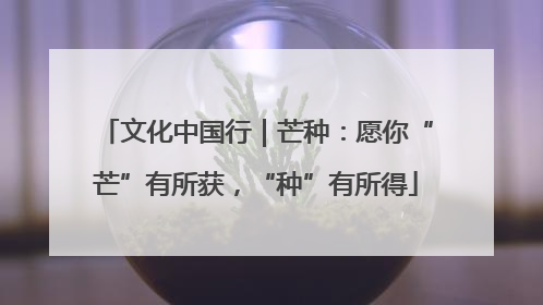 文化中国行｜芒种：愿你“芒”有所获，“种”有所得