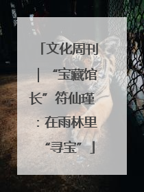 文化周刊｜“宝藏馆长”符仙瑾：在雨林里“寻宝”