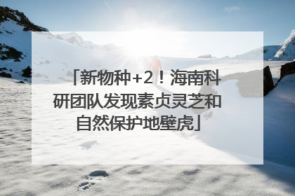 新物种+2！海南科研团队发现素贞灵芝和自然保护地壁虎