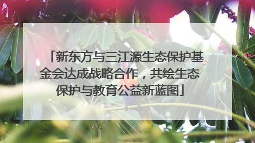 新东方与三江源生态保护基金会达成战略合作，共绘生态保护与教育公益新蓝图