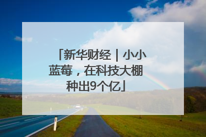 新华财经｜小小蓝莓，在科技大棚种出9个亿