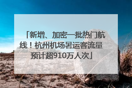 新增、加密一批热门航线！杭州机场暑运客流量预计超910万人次