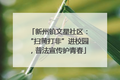 新州镇文星社区：“扫黄打非”进校园，普法宣传护青春