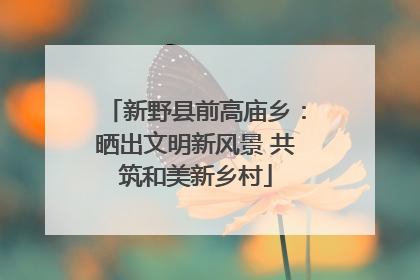 新野县前高庙乡：晒出文明新风景 共筑和美新乡村