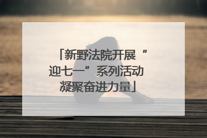 新野法院开展“迎七一”系列活动 凝聚奋进力量
