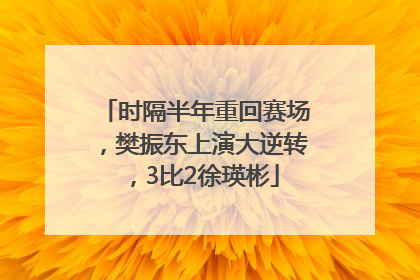 时隔半年重回赛场，樊振东上演大逆转，3比2徐瑛彬