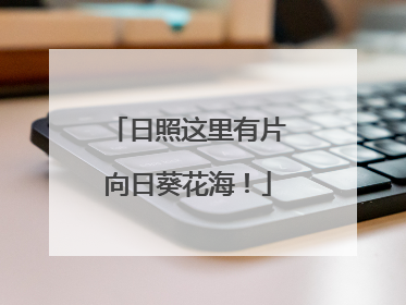 日照这里有片向日葵花海！