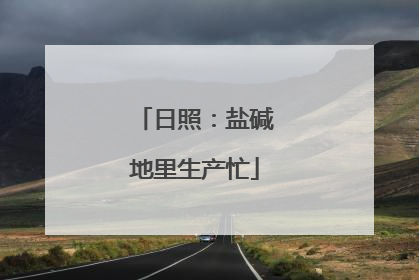 日照：盐碱地里生产忙