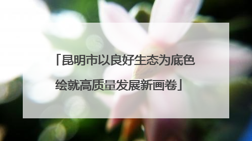 昆明市以良好生态为底色绘就高质量发展新画卷