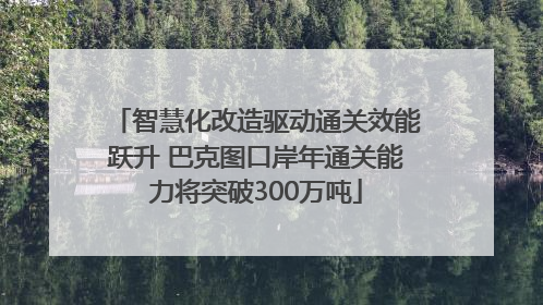 智慧化改造驱动通关效能跃升 巴克图口岸年通关能力将突破300万吨